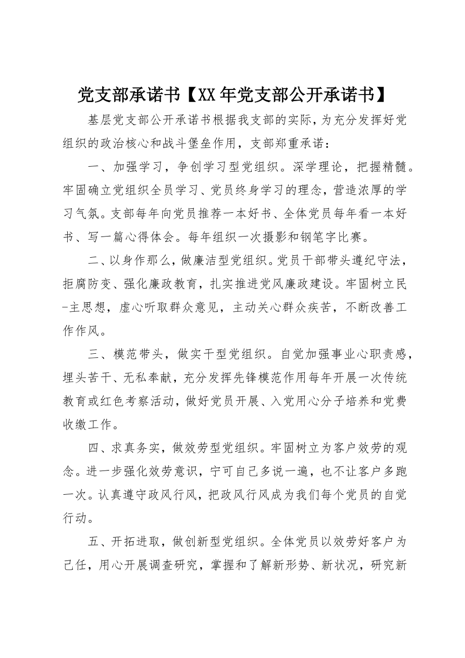 2023年党支部承诺书某年党支部公开承诺书.docx_第1页