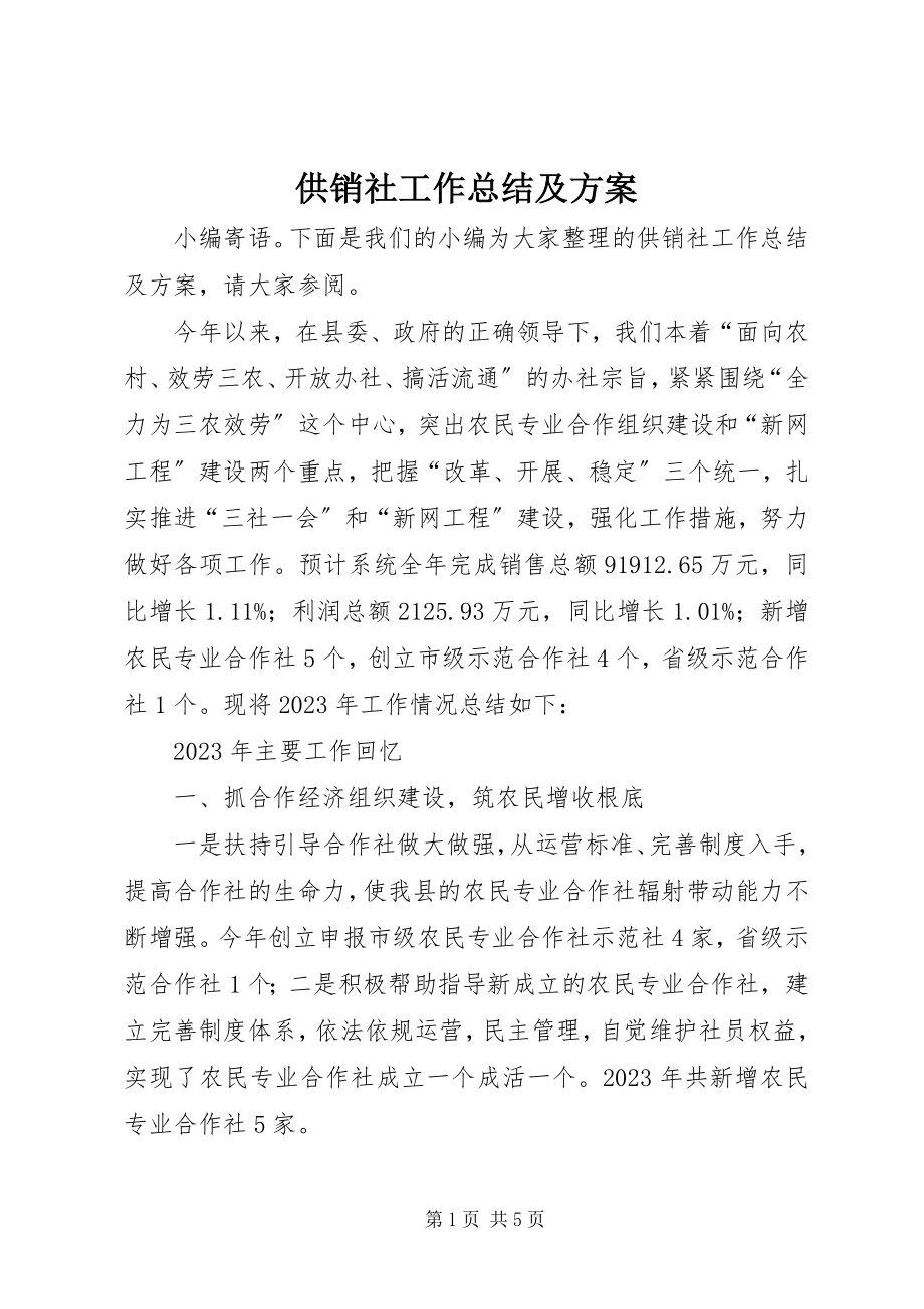 2023年供销社工作总结及计划.docx_第1页