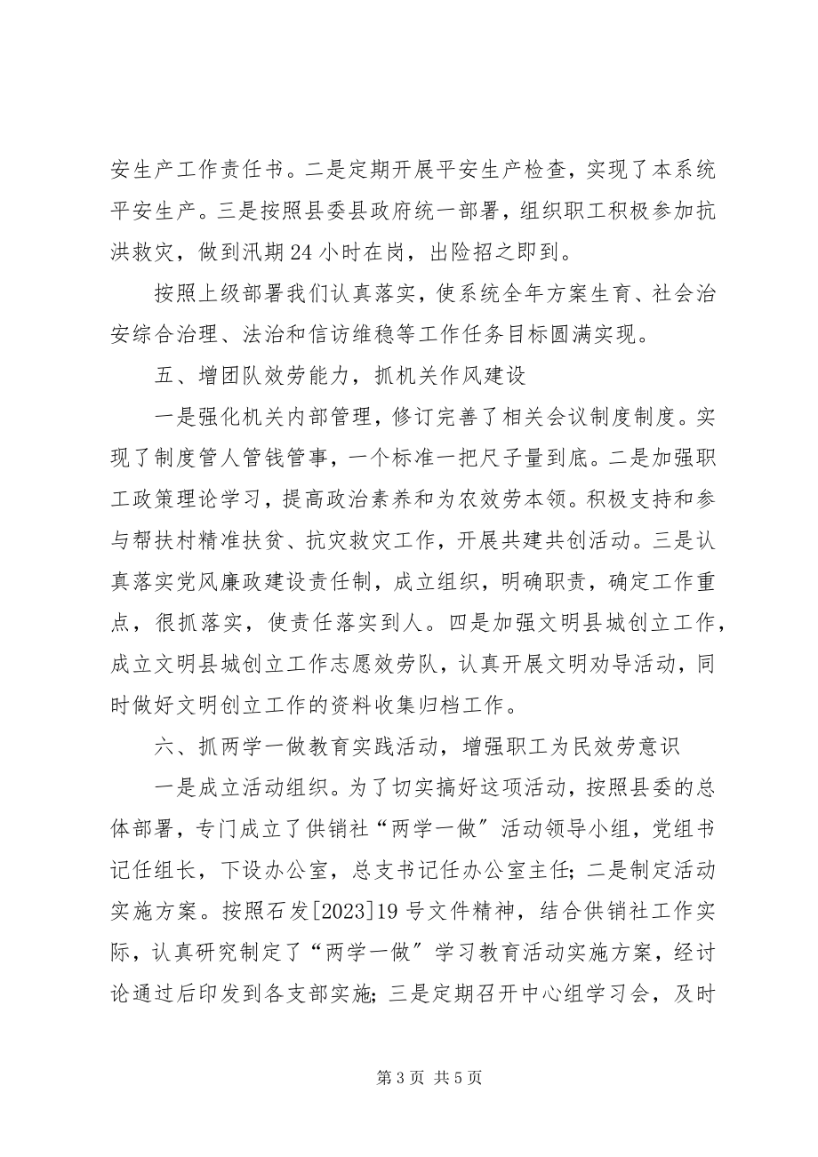 2023年供销社工作总结及计划.docx_第3页