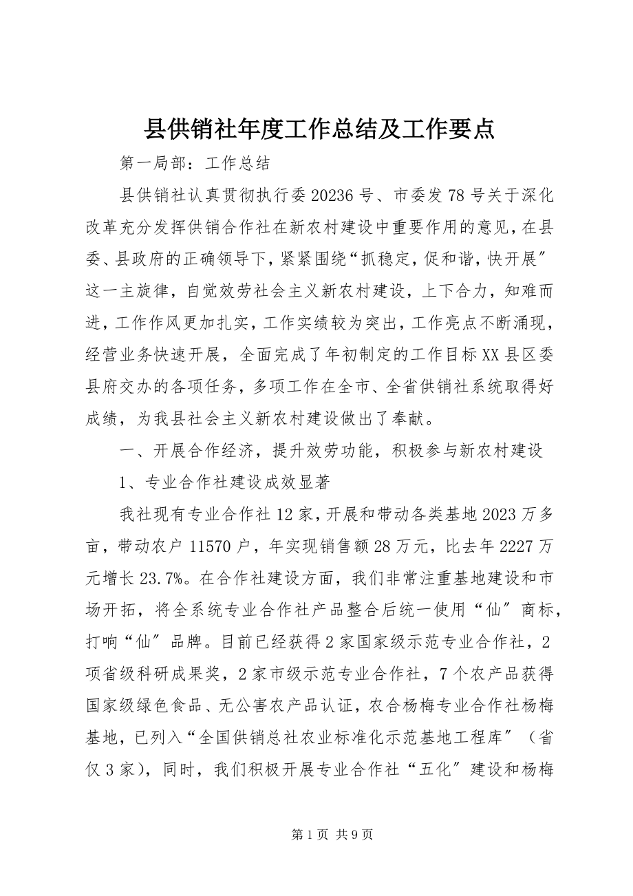 2023年县供销社年度工作总结及工作要点.docx_第1页