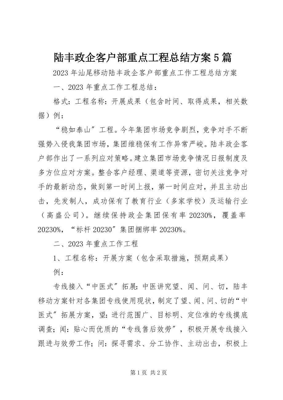 2023年陆丰政企客户部重点项目总结计划5篇.docx_第1页