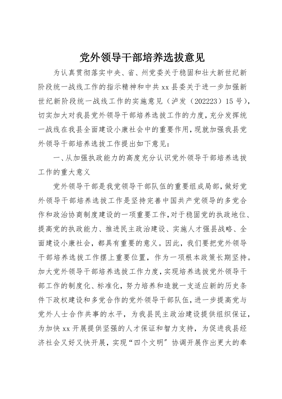 2023年党外领导干部培养选拔意见.docx_第1页