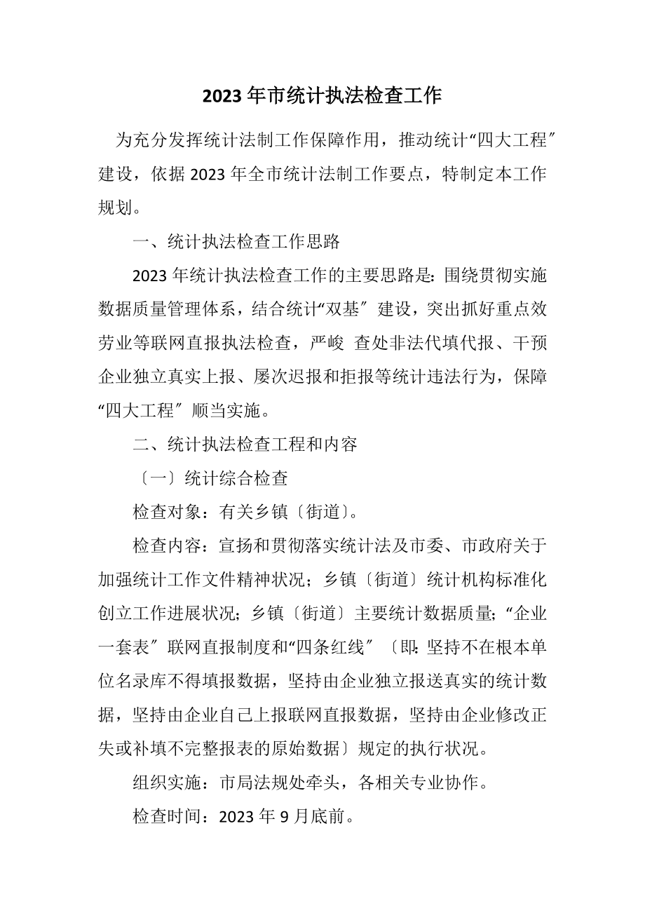 2023年市统计执法检查工作计划.docx_第1页