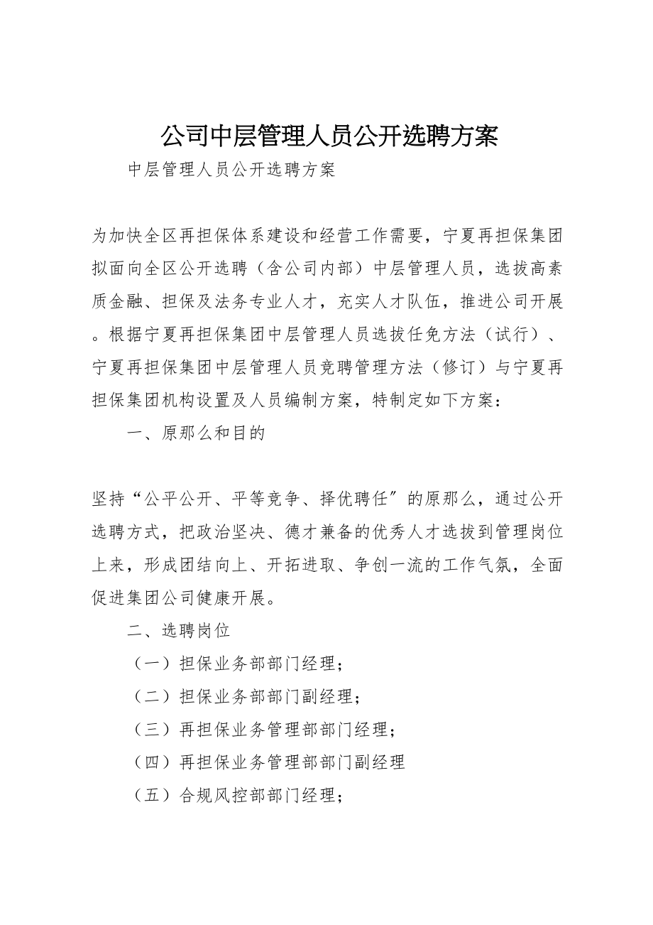 2023年公司中层管理人员公开选聘方案.doc_第1页