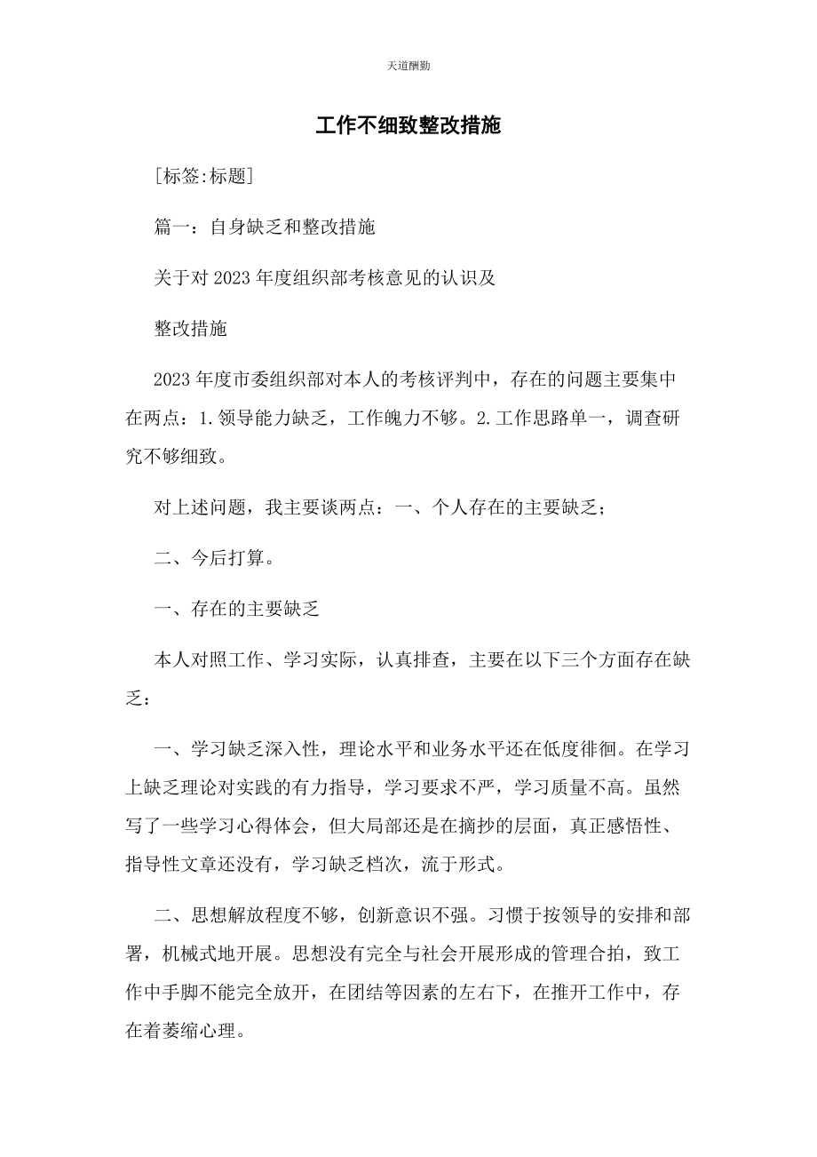 2023年工作不细致整改措施范文.docx_第1页