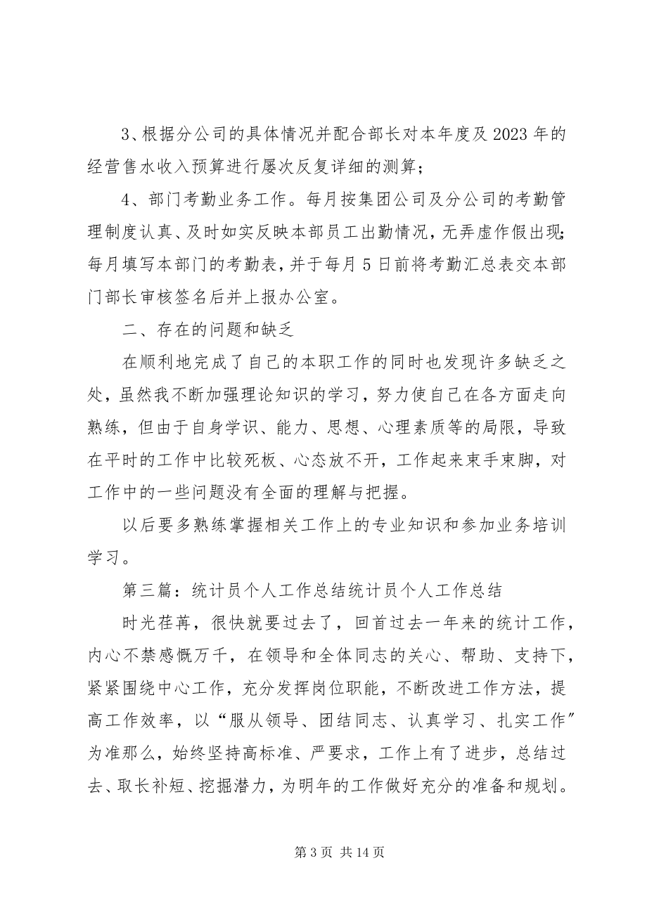 2023年公司统计员个人工作总结.docx_第3页