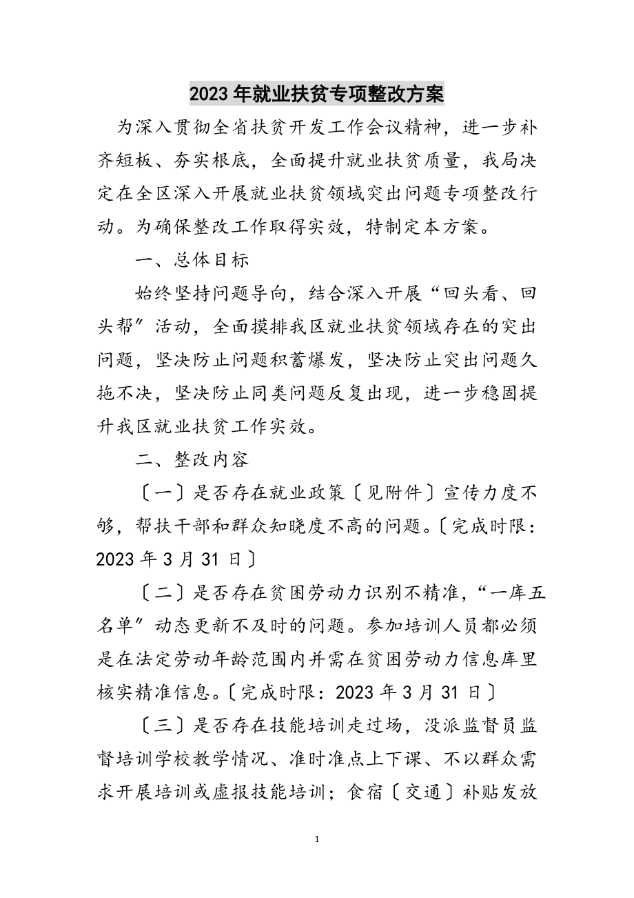 2023年年就业扶贫专项整改方案范文.doc_第1页