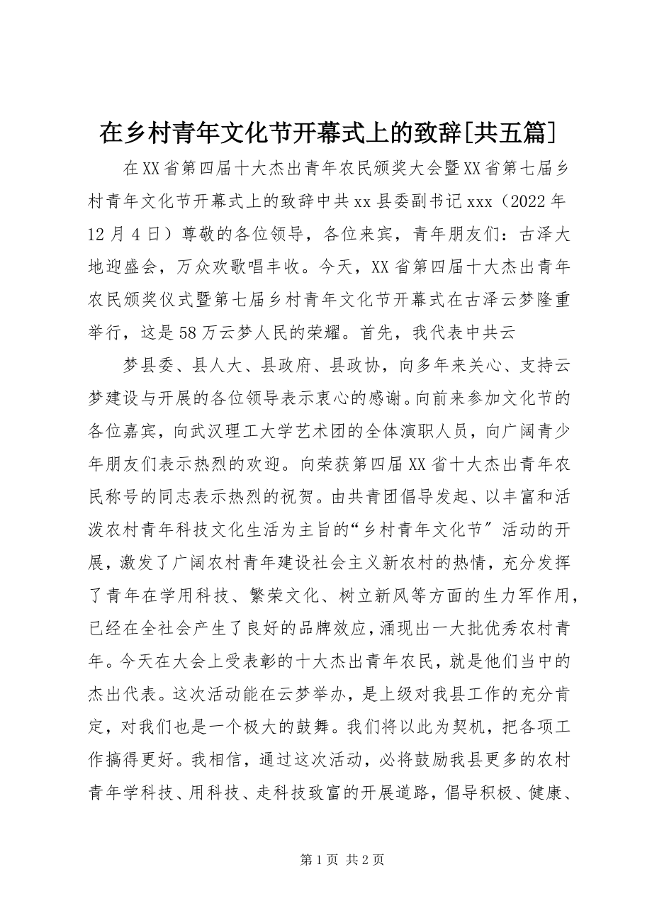 2023年在乡村青年文化节开幕式上的致辞共五篇.docx_第1页