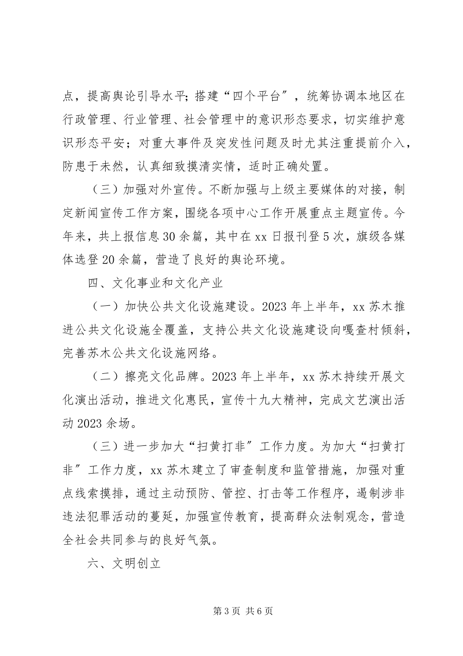 2023年乡镇宣传思想文化工作总结及下年工作计划.docx_第3页