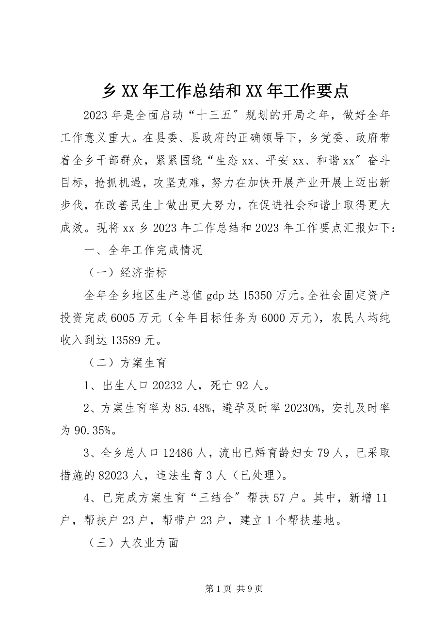 2023年乡工作总结和工作要点.docx_第1页