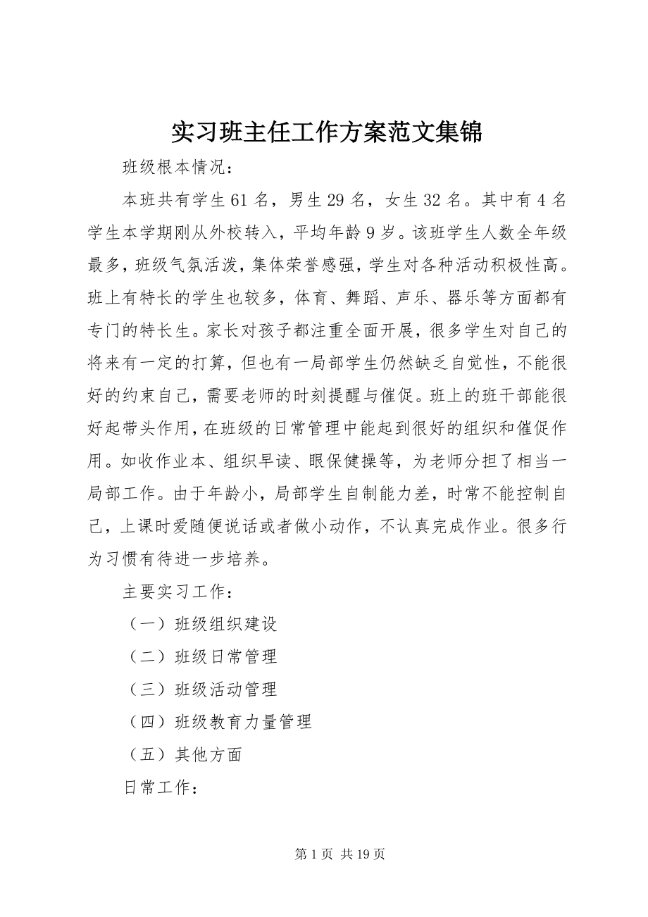 2023年实习班主任工作计划集锦.docx_第1页