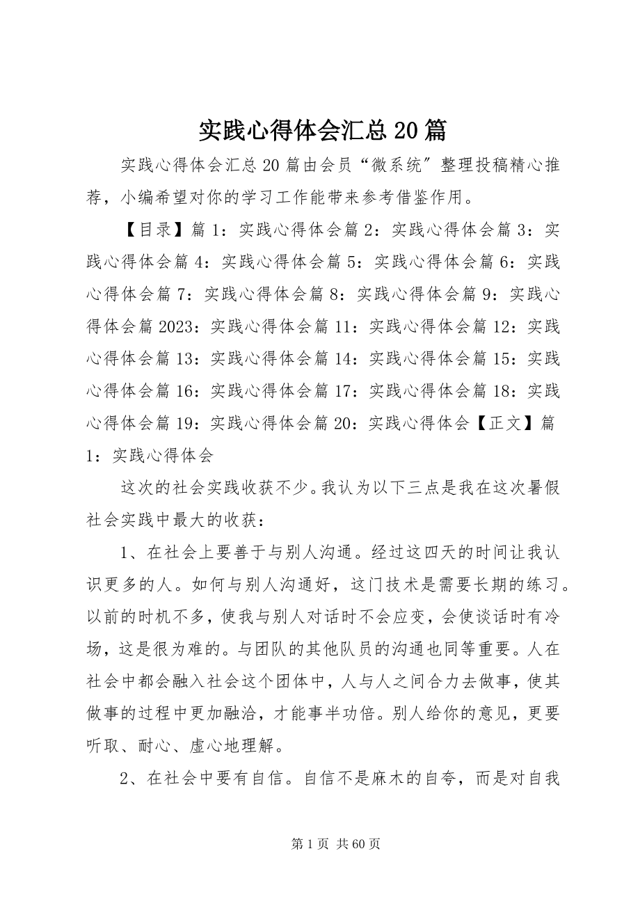 2023年实践心得体会汇总20篇.docx_第1页