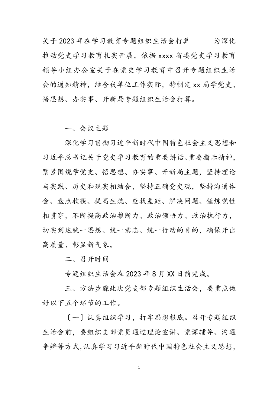 关于2023年在学习教育专题组织生活会方案 .docx_第2页