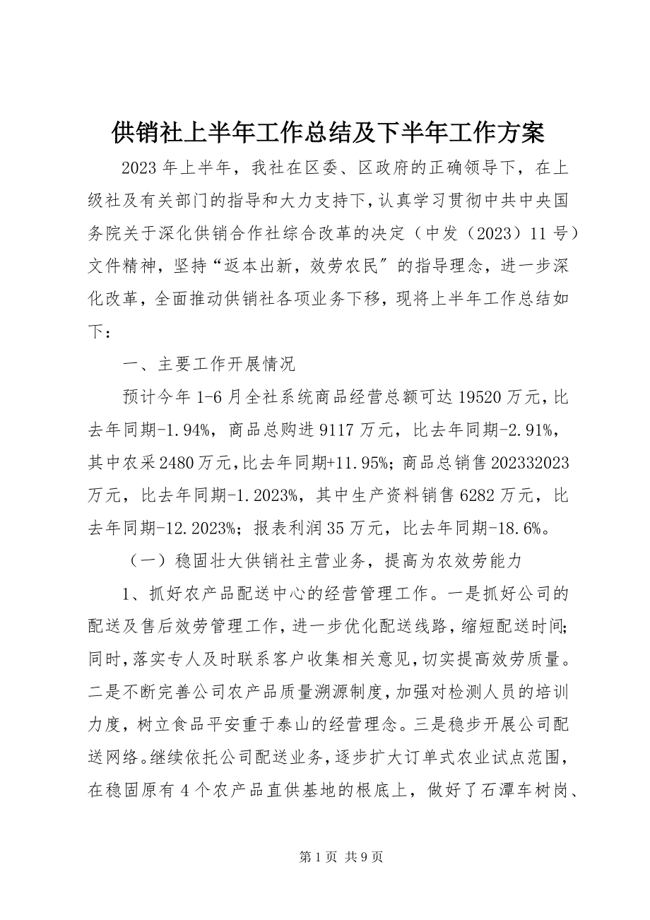 2023年供销社上半年工作总结及下半年工作计划.docx_第1页