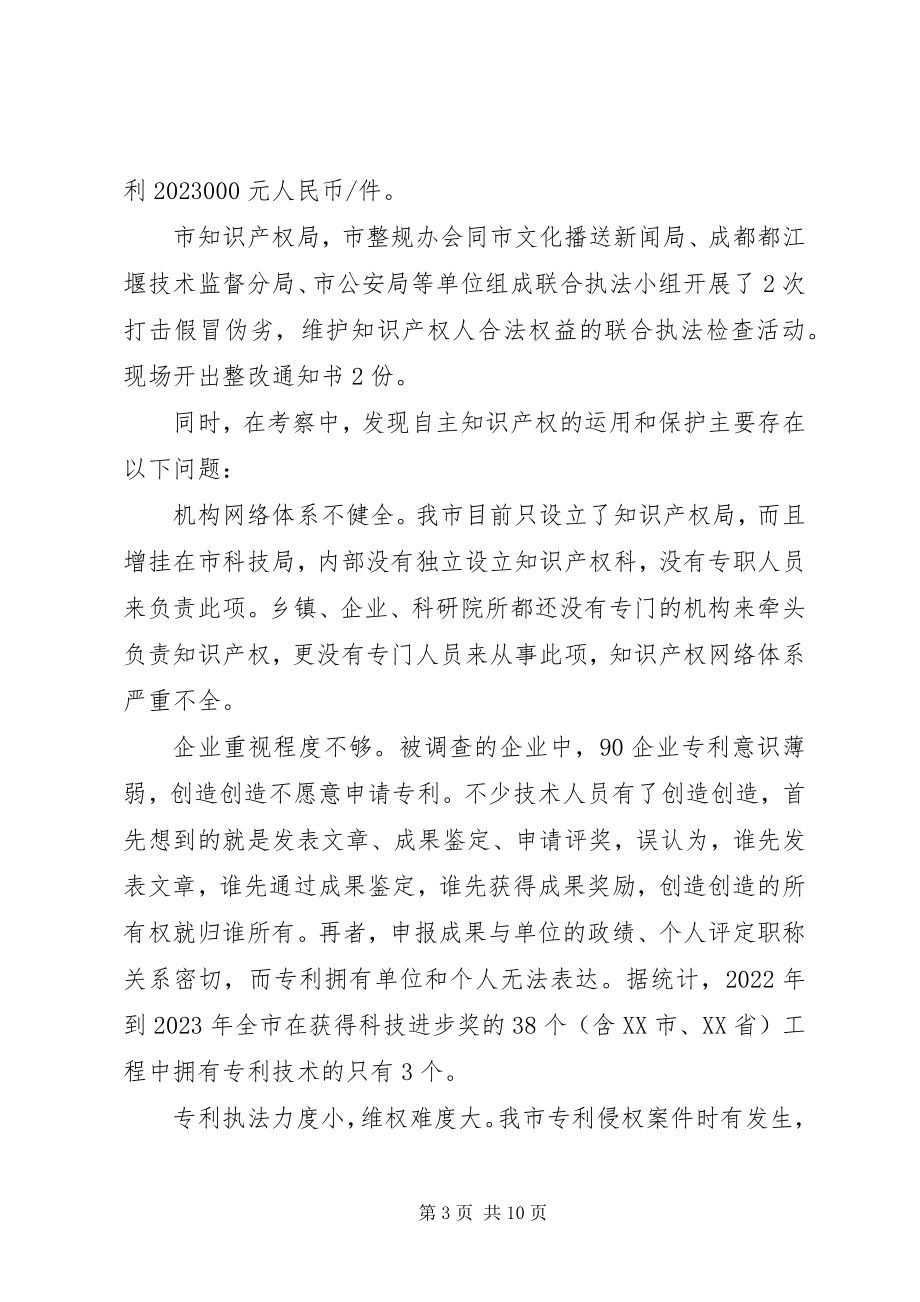 2023年自主知识产权的运用和保护.docx_第3页