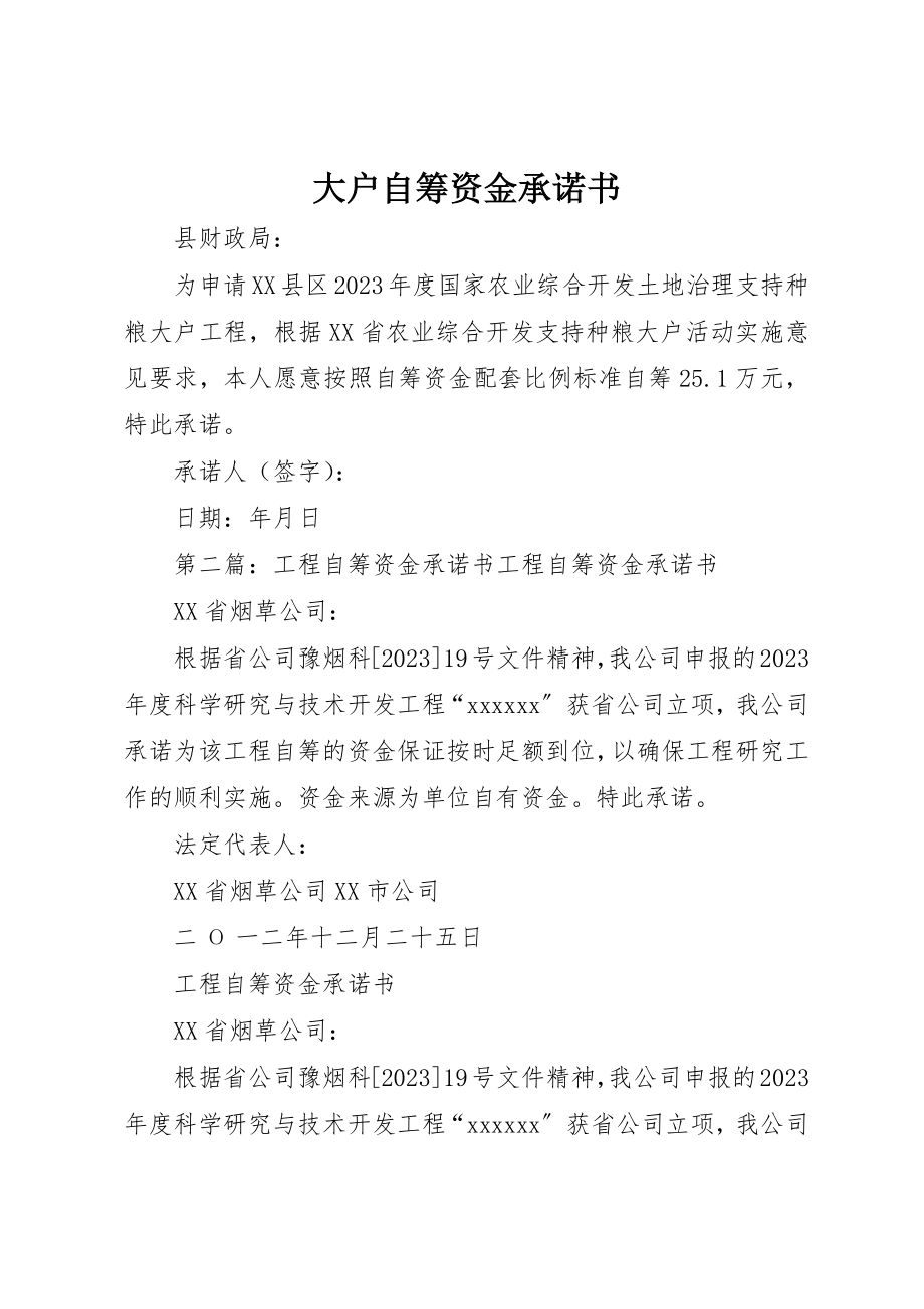 2023年大户自筹资金承诺书新编.docx_第1页