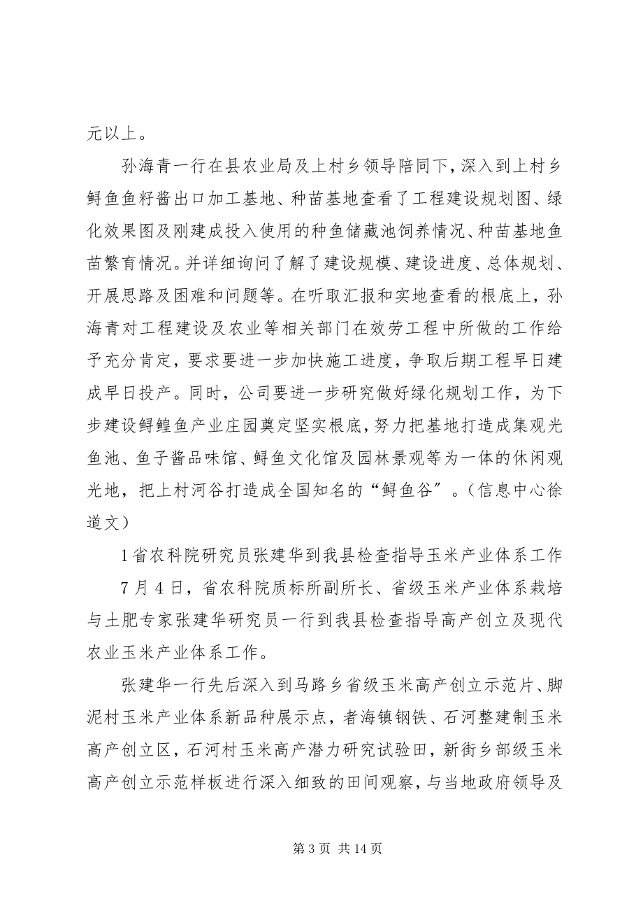 2023年省组织部交叉调研督查组到我街检查指导后进村整顿工作.docx_第3页