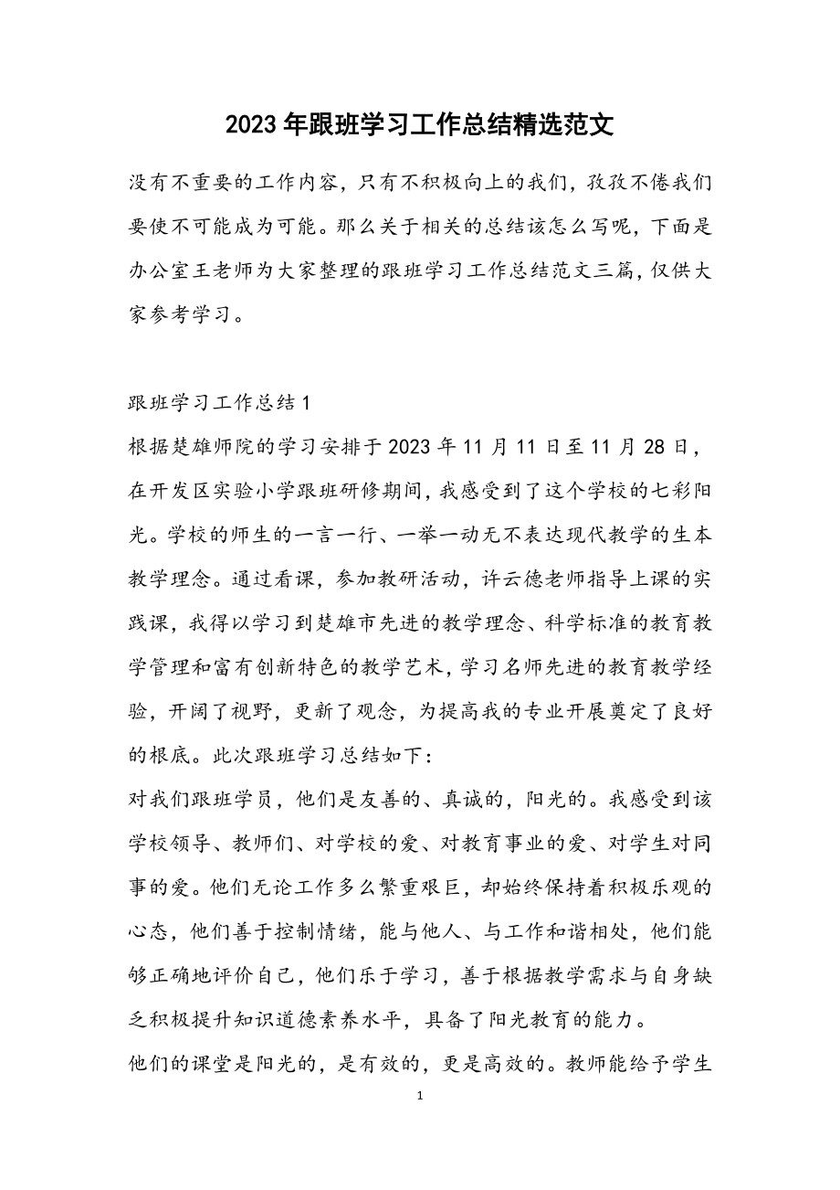 2023年跟班学习工作总结2.docx_第1页