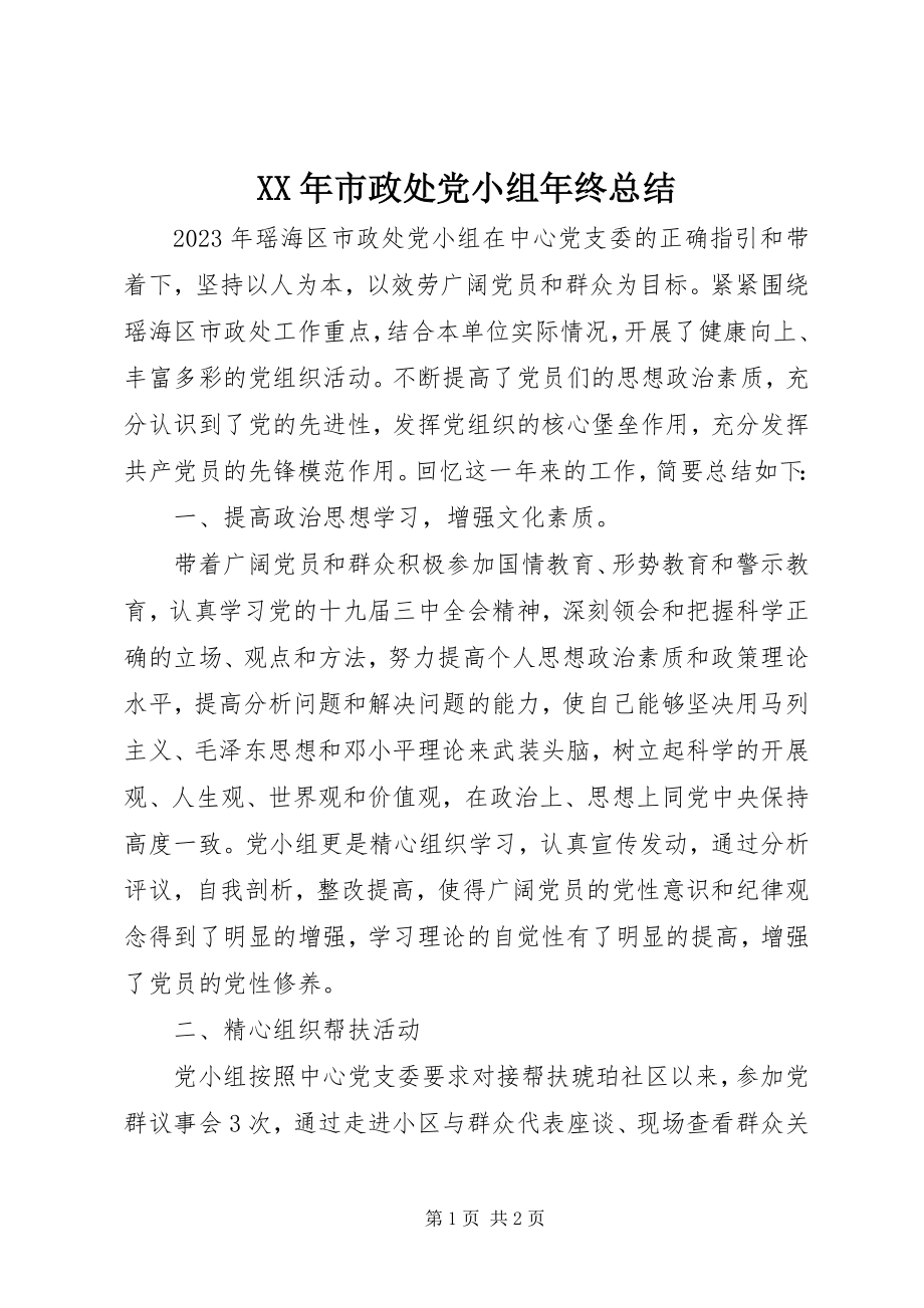 2023年市政处党小组年终总结.docx_第1页