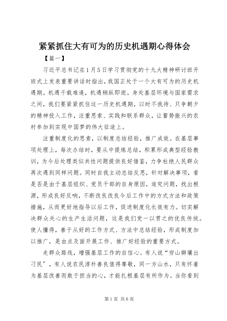 2023年《紧紧抓住大有可为的历史机遇期》心得体会新编.docx_第1页