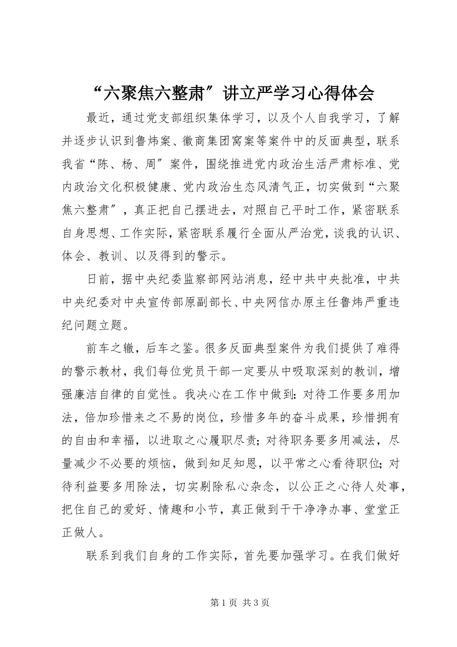 2023年“六聚焦六整肃”讲立严学习心得体会新编.docx_第1页