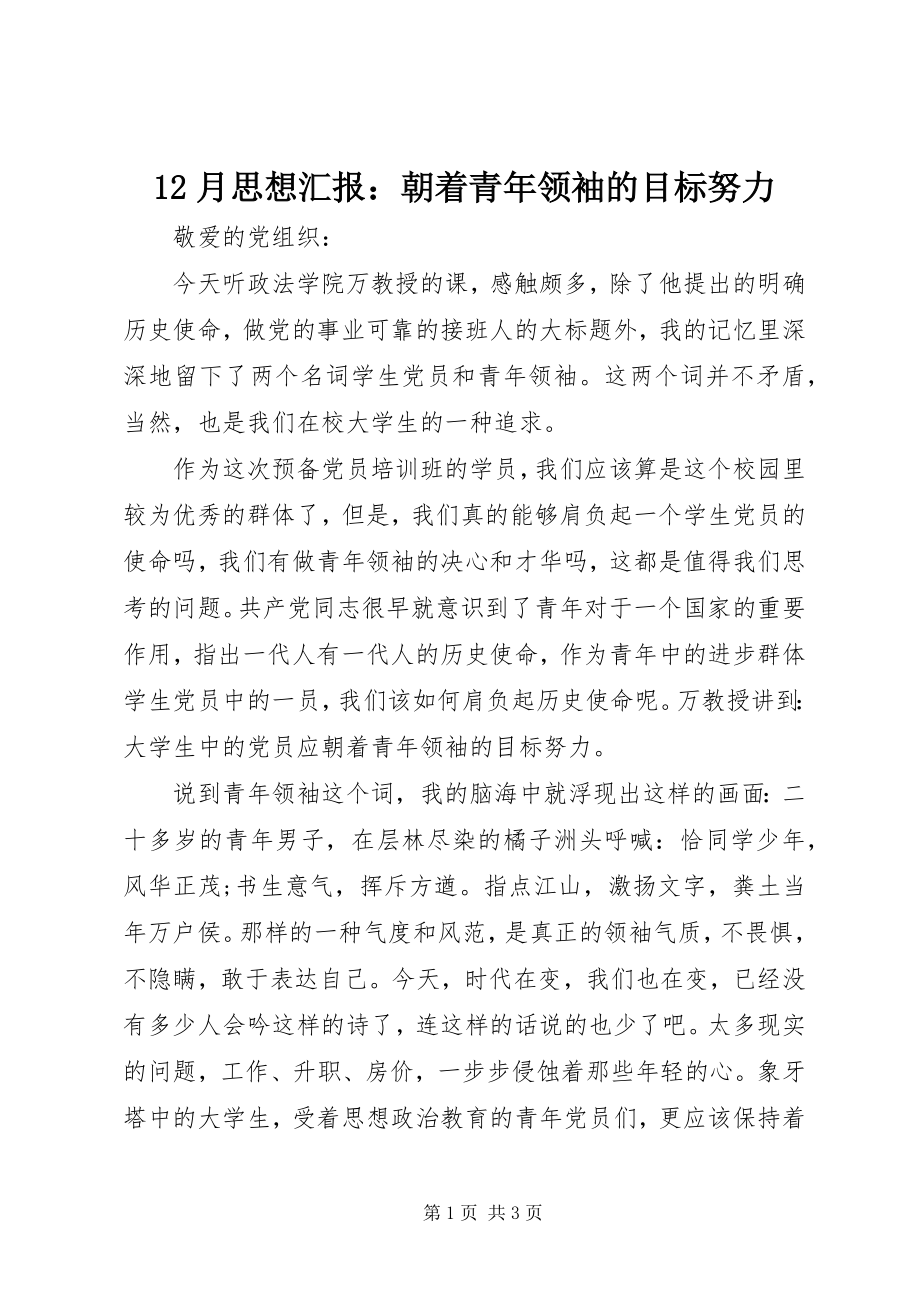 2023年2月思想汇报朝着青年领袖的目标努力新编.docx_第1页