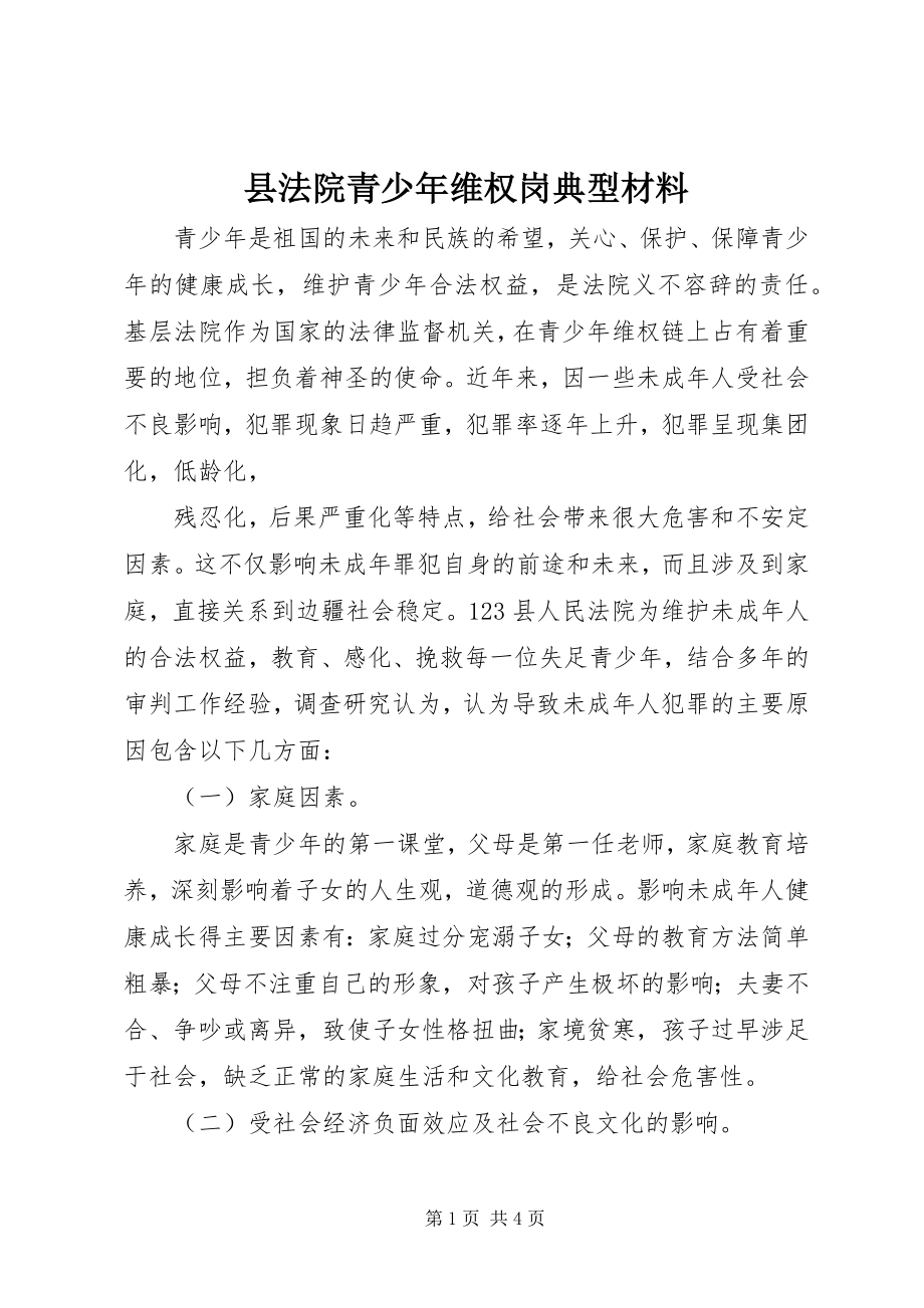 2023年县法院青少年维权岗典型材料.docx_第1页