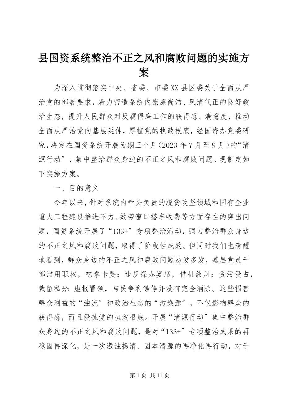 2023年县国资系统整治不正之风和腐败问题的实施方案.docx_第1页