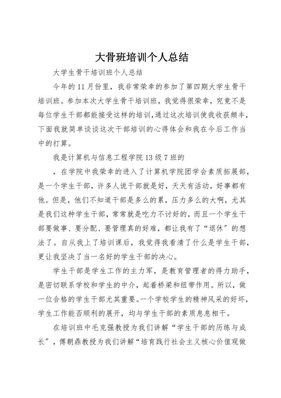 2023年大骨班培训个人总结新编.docx_第1页