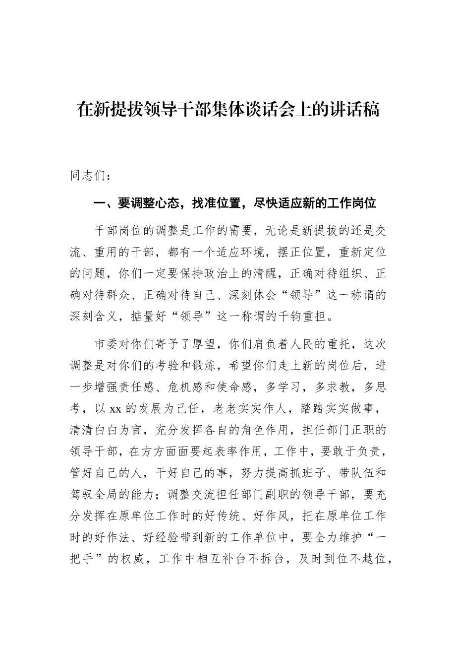 在新提拔领导干部集体谈话会上的讲话稿.docx_第1页