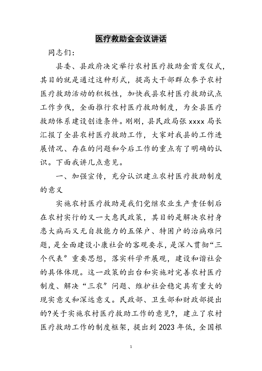 2023年医疗救助金会议讲话范文.doc_第1页