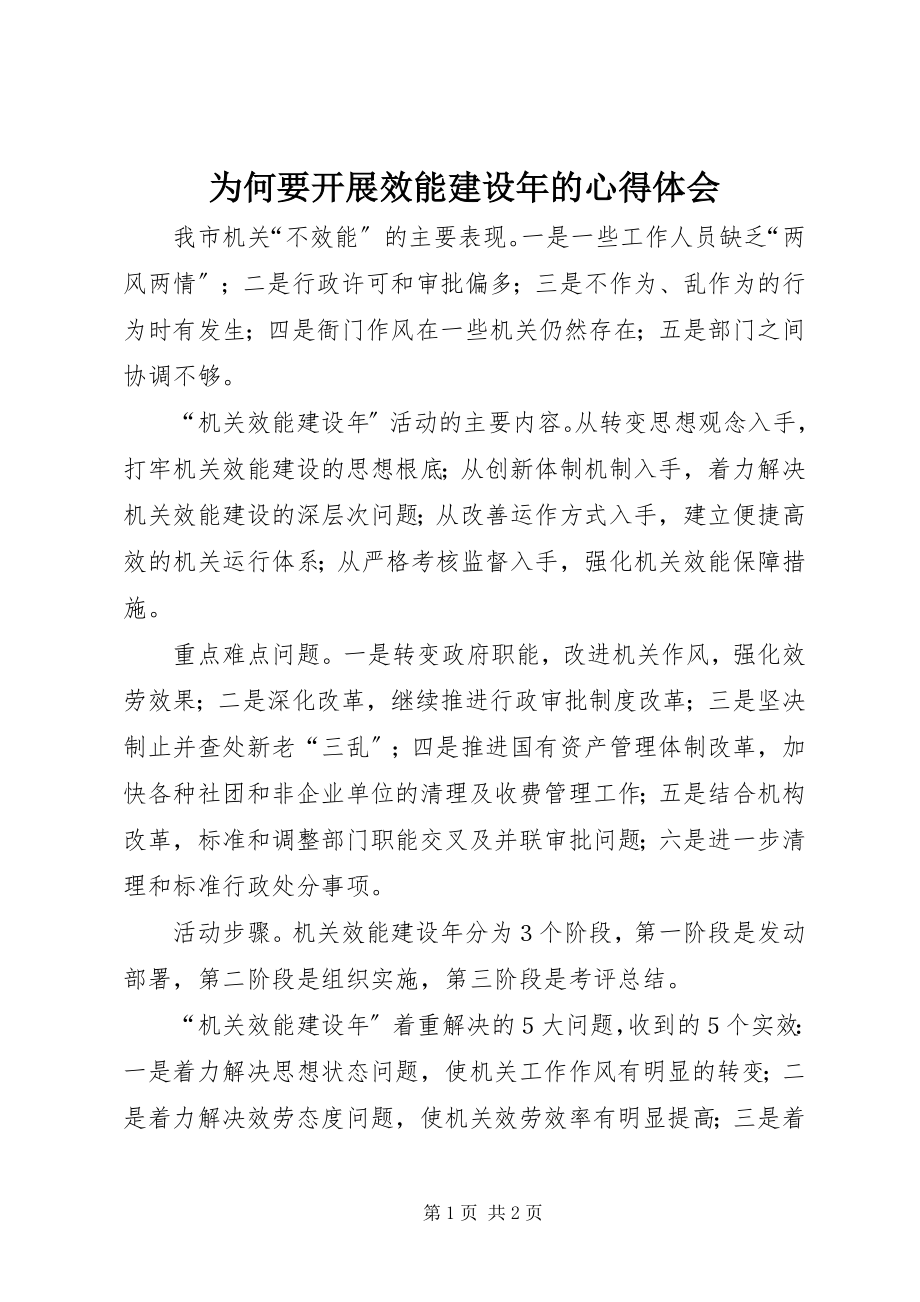 2023年为何要开展效能建设年的心得体会.docx_第1页