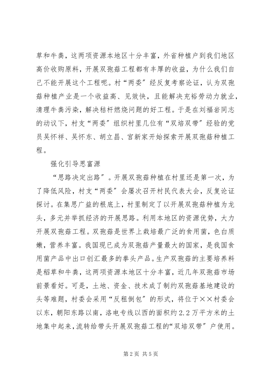 2023年农村带头致富先进事迹材料.docx_第2页