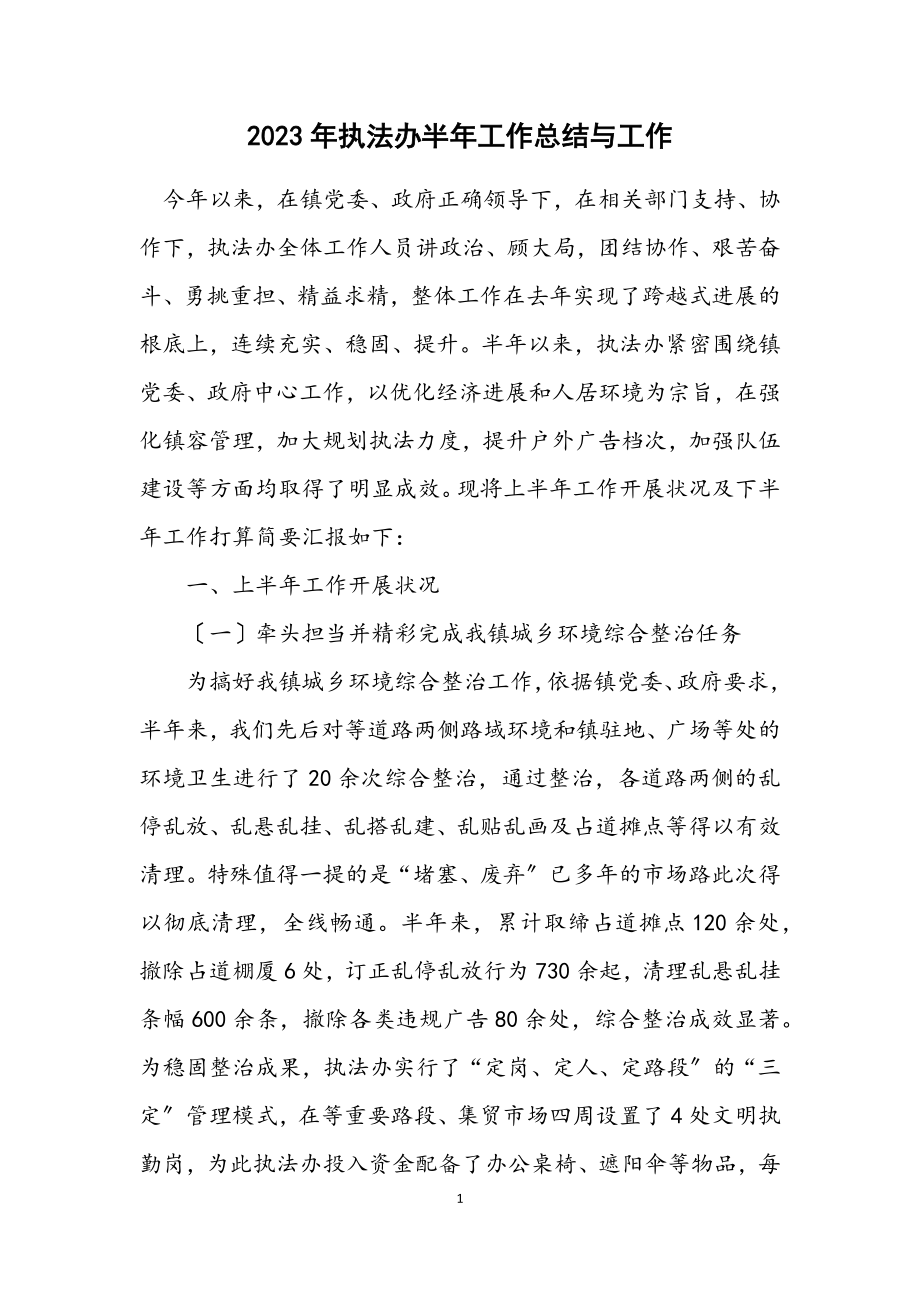 2023年执法办半年工作总结与工作计划.docx_第1页