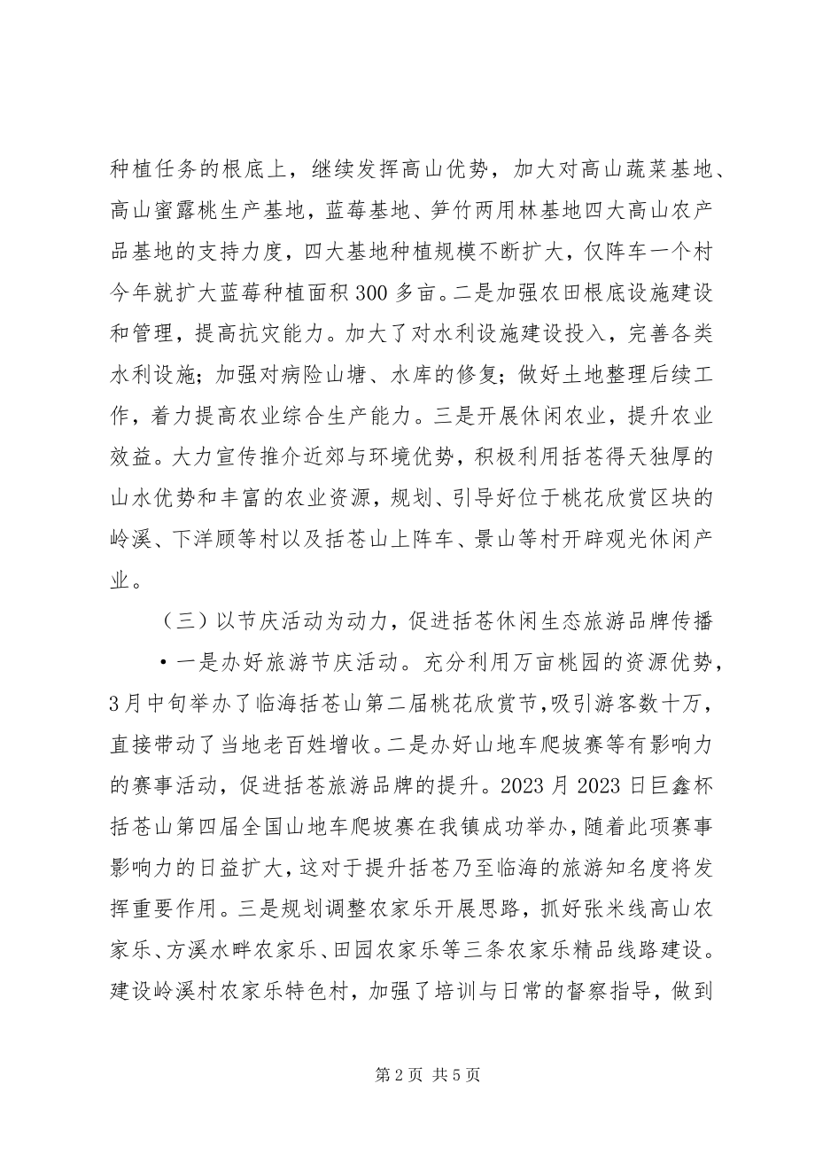 2023年乡镇工作总结总结.docx_第2页