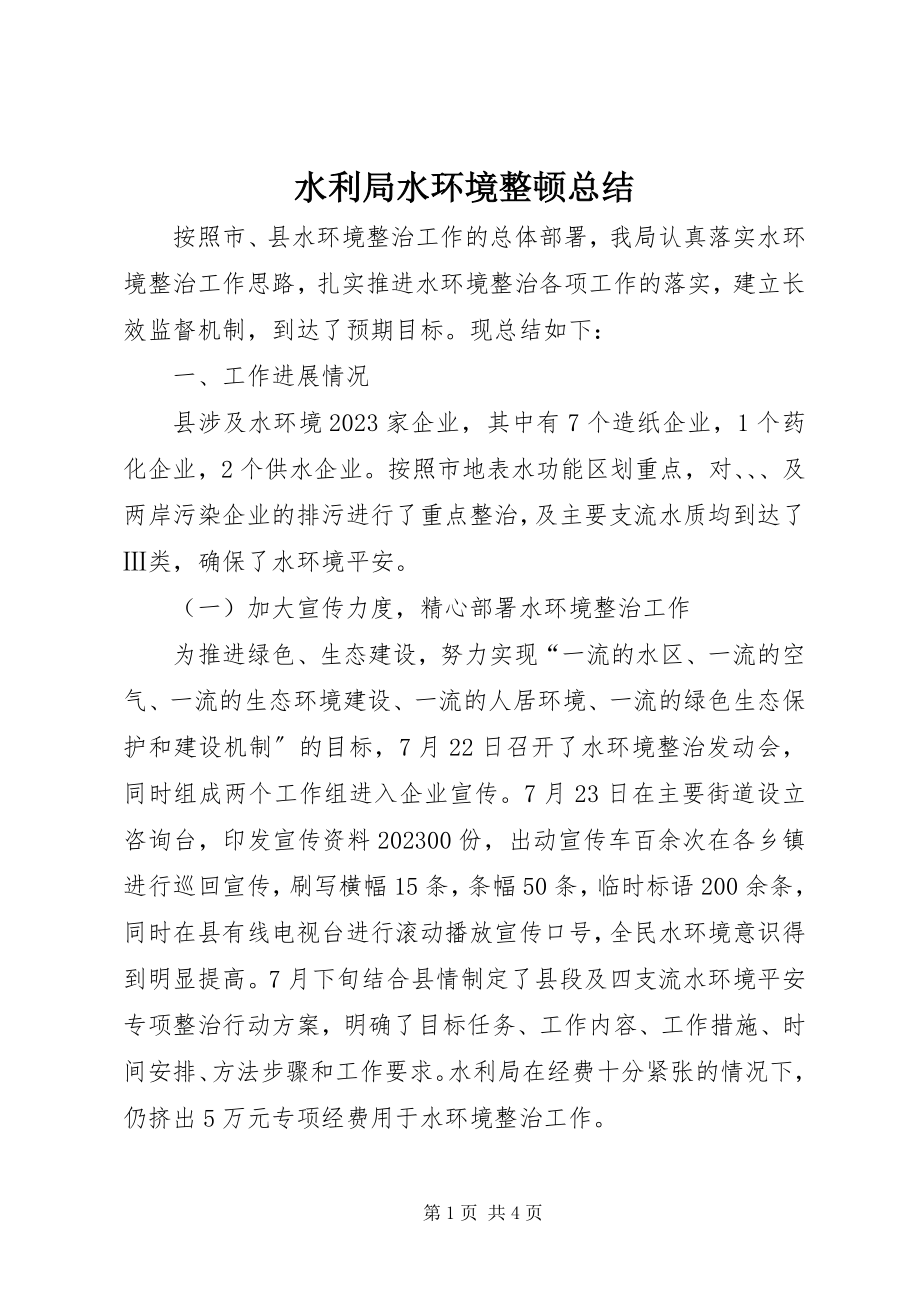 2023年水利局水环境整顿总结.docx_第1页