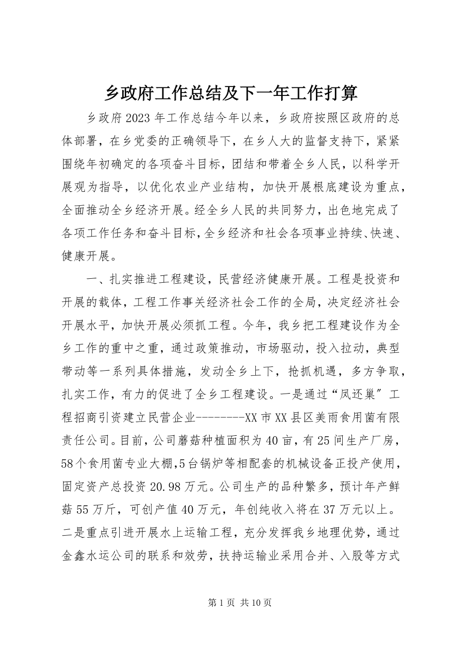 2023年乡政府工作总结及下一年工作打算.docx_第1页