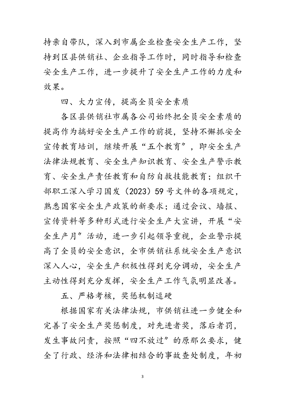 2023年供销社年安全工作总结范文.doc_第3页