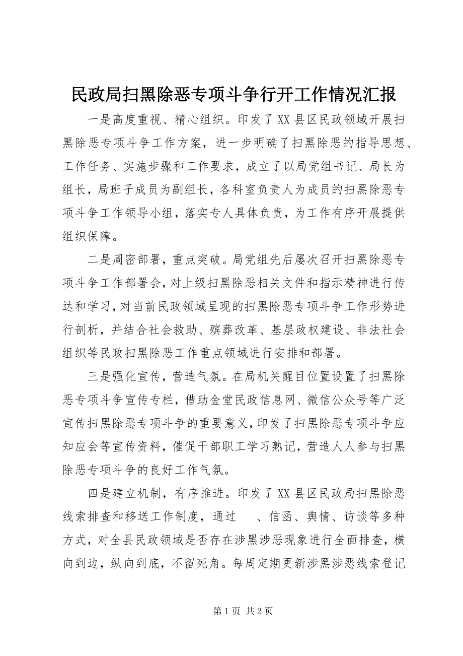 2023年民政局扫黑除恶专项斗争行动工作情况汇报.docx_第1页