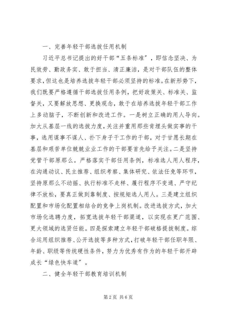 2023年培养选拔国有企业年轻干部工作的思考.docx_第2页