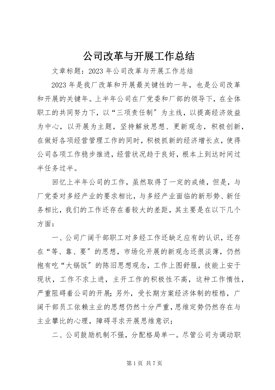 2023年公司改革与发展工作总结.docx_第1页