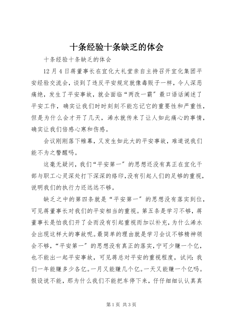 2023年十条经验十条不足的体会.docx_第1页