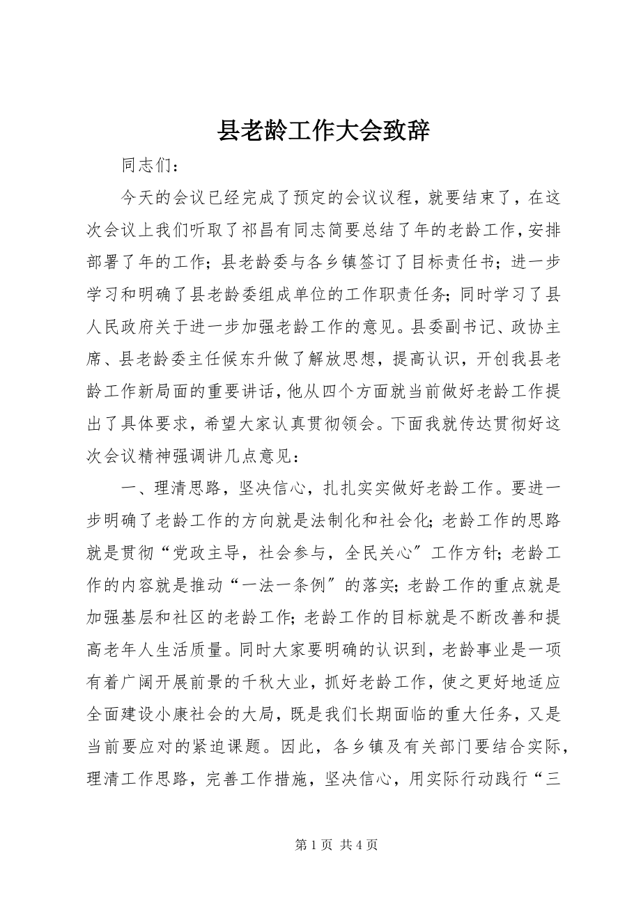 2023年县老龄工作大会致辞.docx_第1页