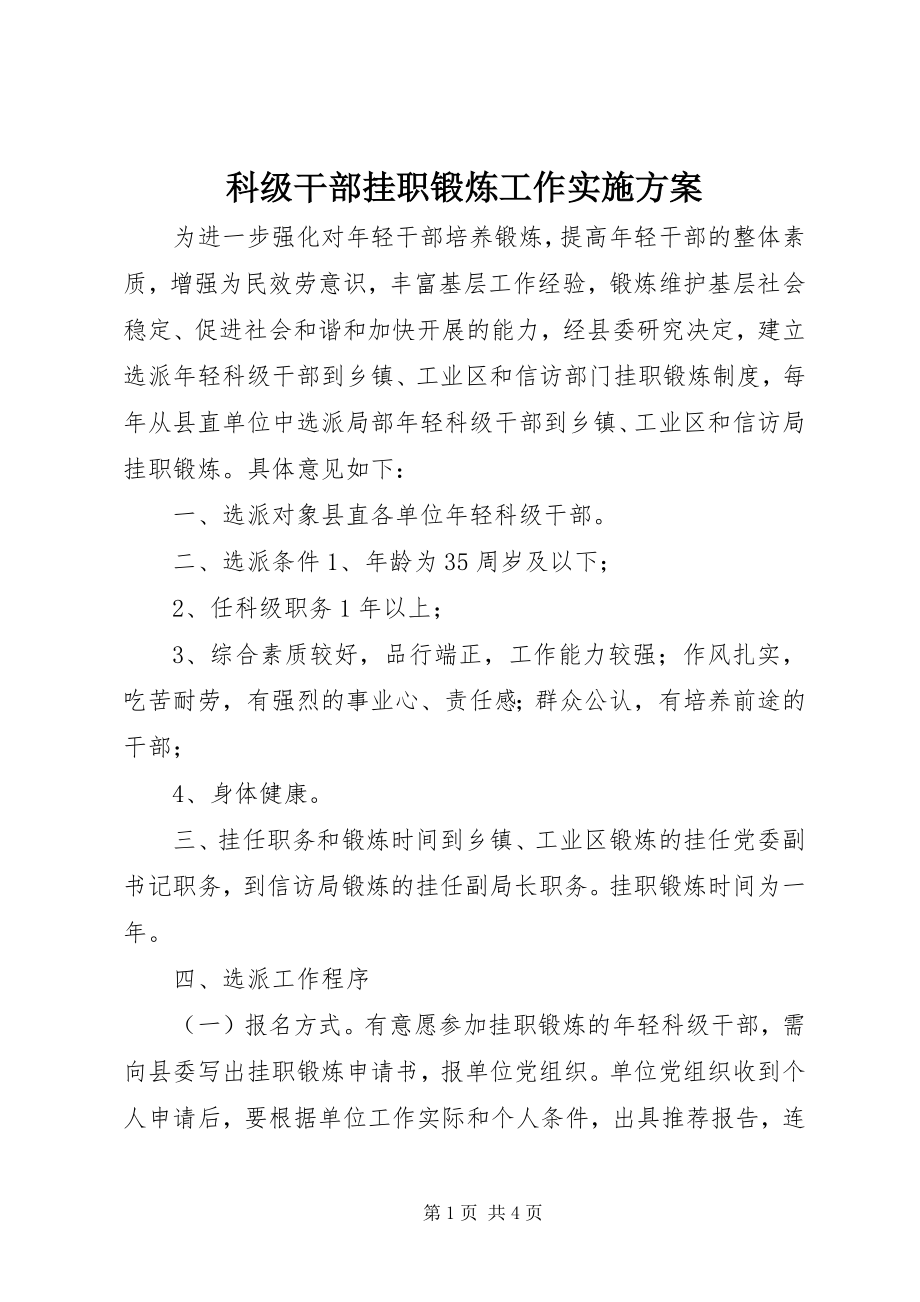 2023年科级干部挂职锻炼工作实施方案.docx_第1页