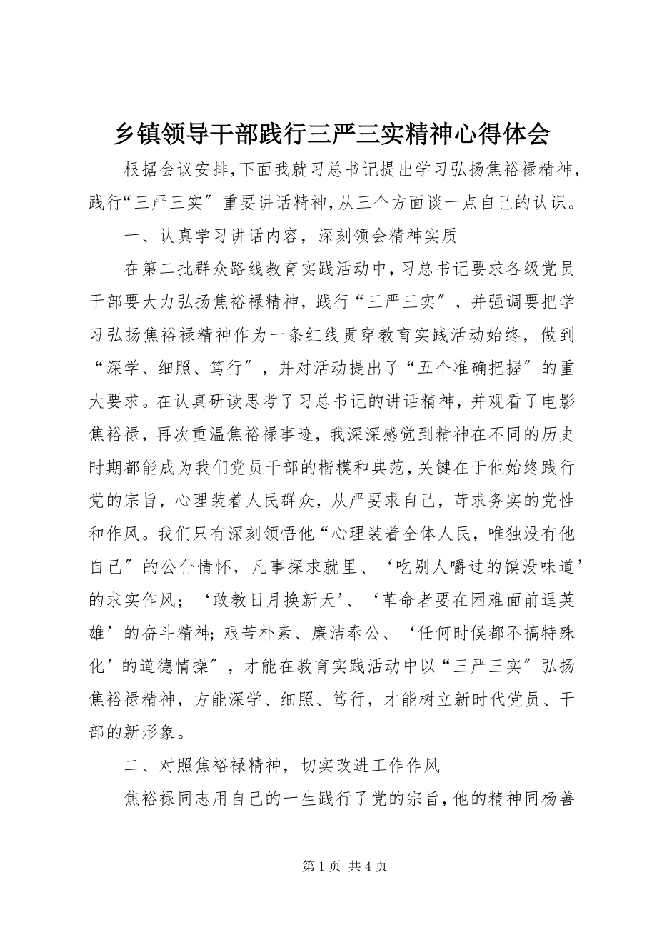 2023年乡镇领导干部践行三严三实精神心得体会.docx_第1页