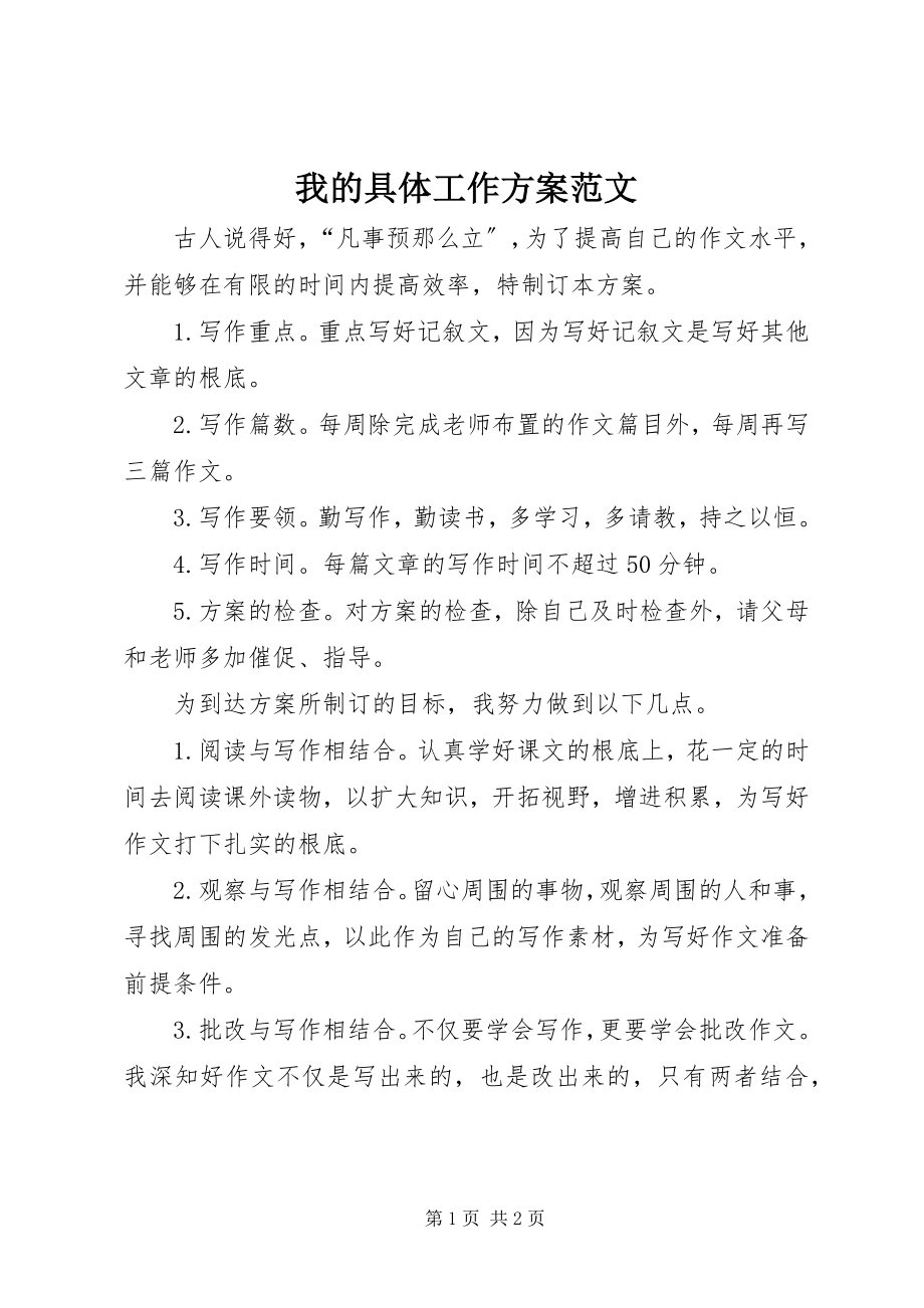 2023年我的具体工作计划.docx_第1页