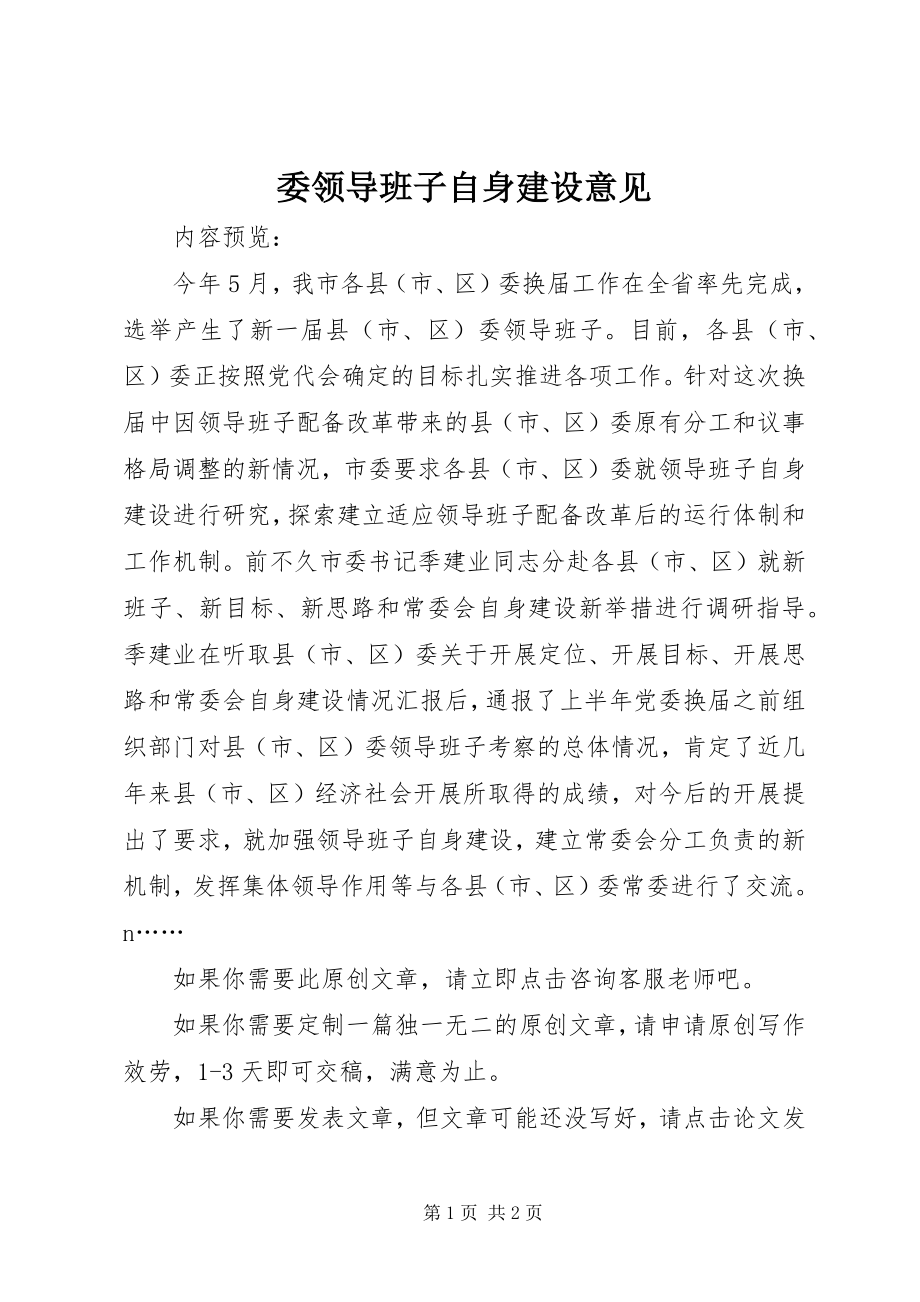 2023年委领导班子自身建设意见.docx_第1页