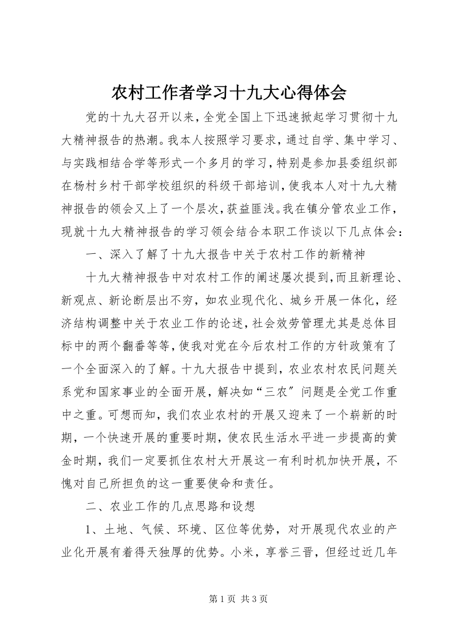 2023年农村工作者学习十九大心得体会.docx_第1页