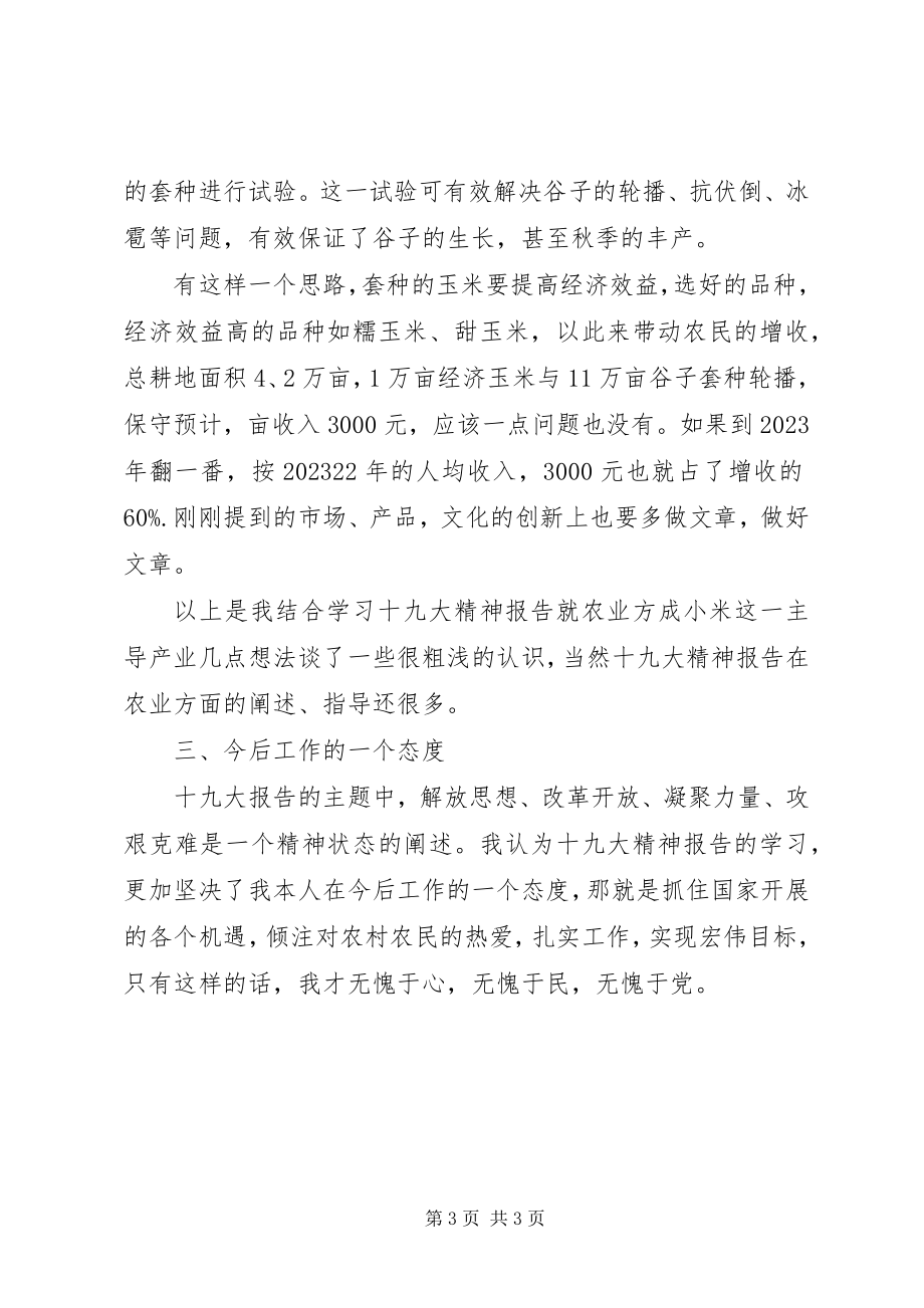 2023年农村工作者学习十九大心得体会.docx_第3页