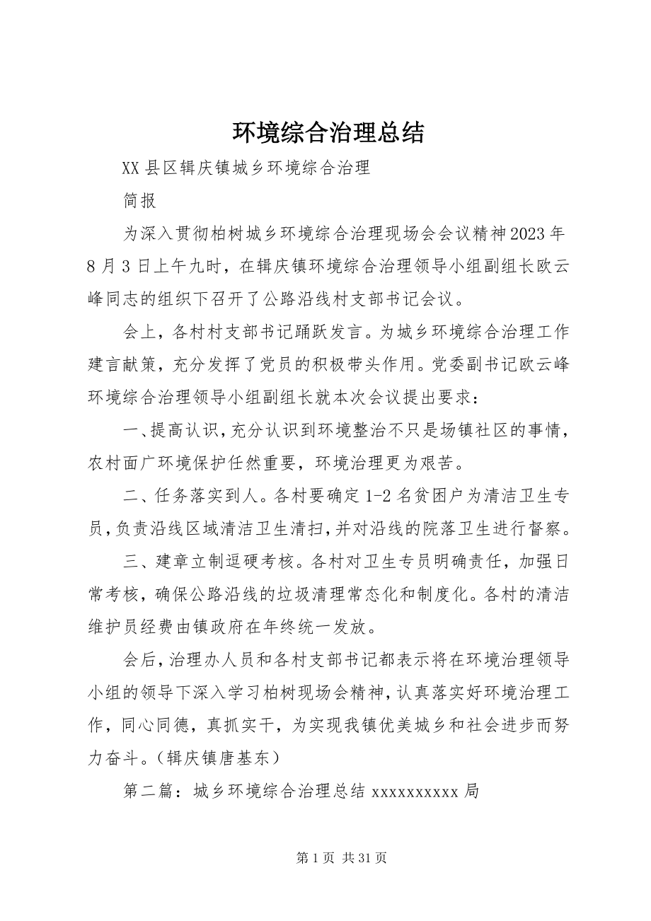 2023年环境综合治理总结.docx_第1页